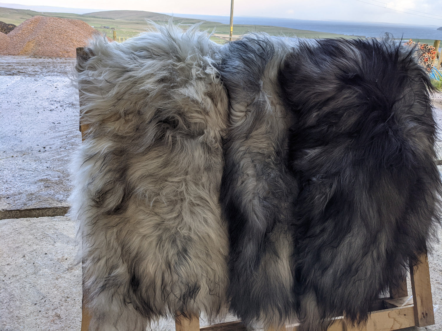 Natural colours of Lambs Grey Sheepskin Rug
