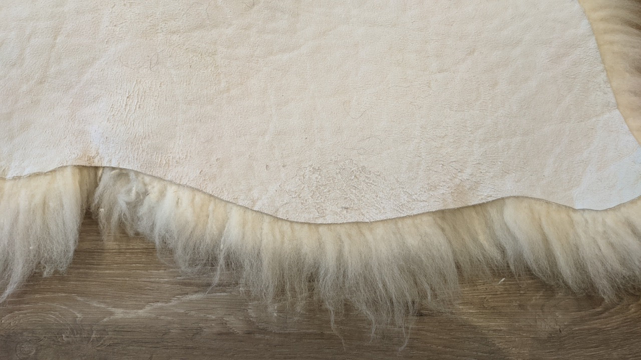 Shetland White Sheepskin