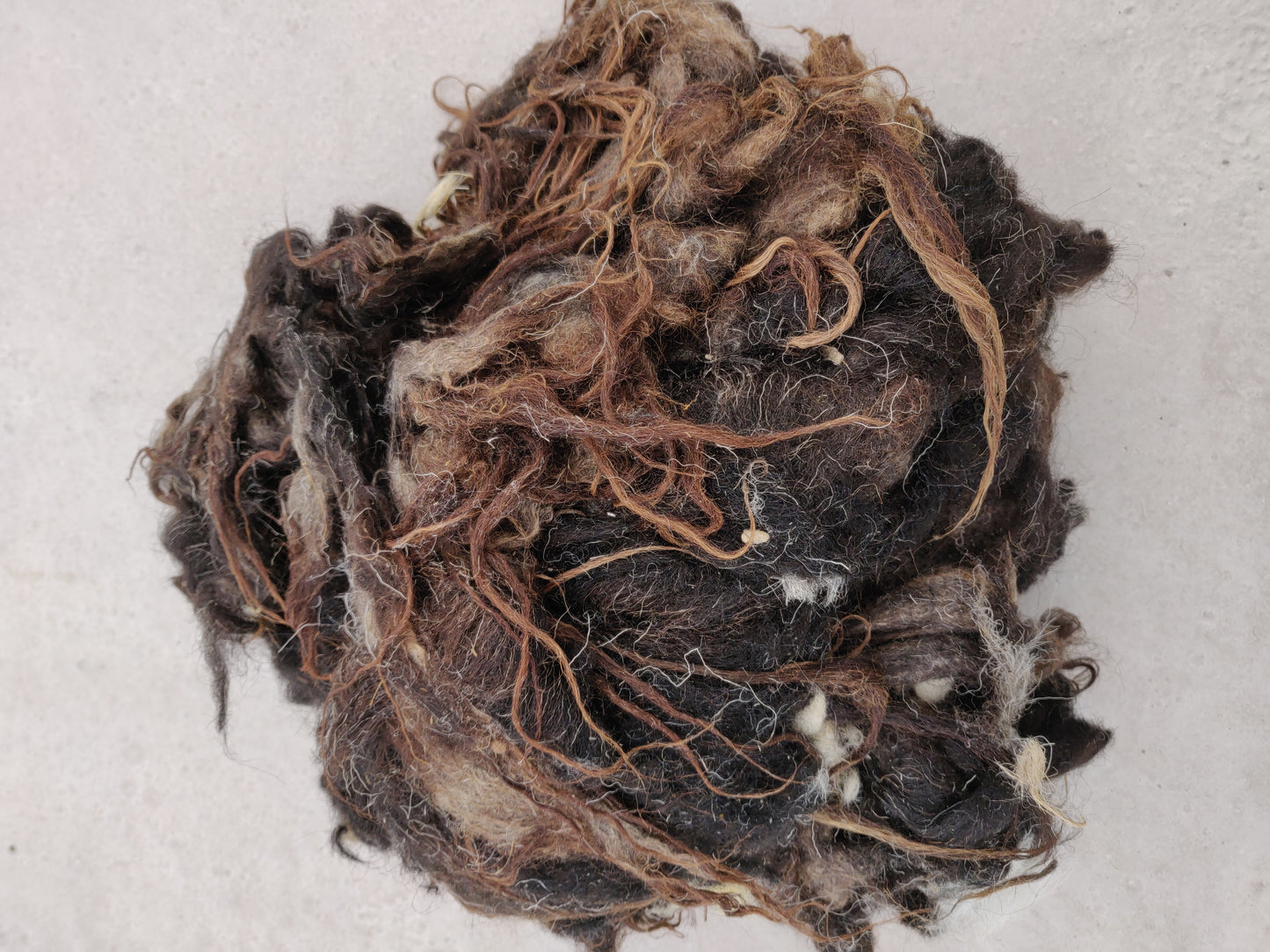 Close up of some boreray sheep fleece