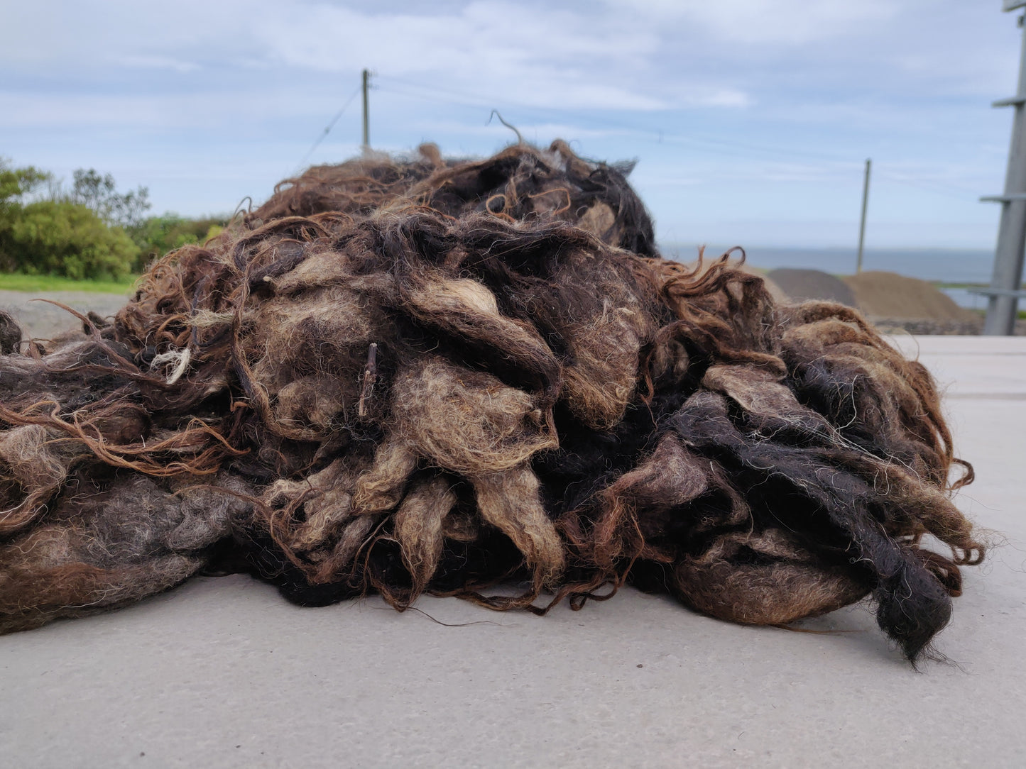 Texture of Boreray Raw Fleece