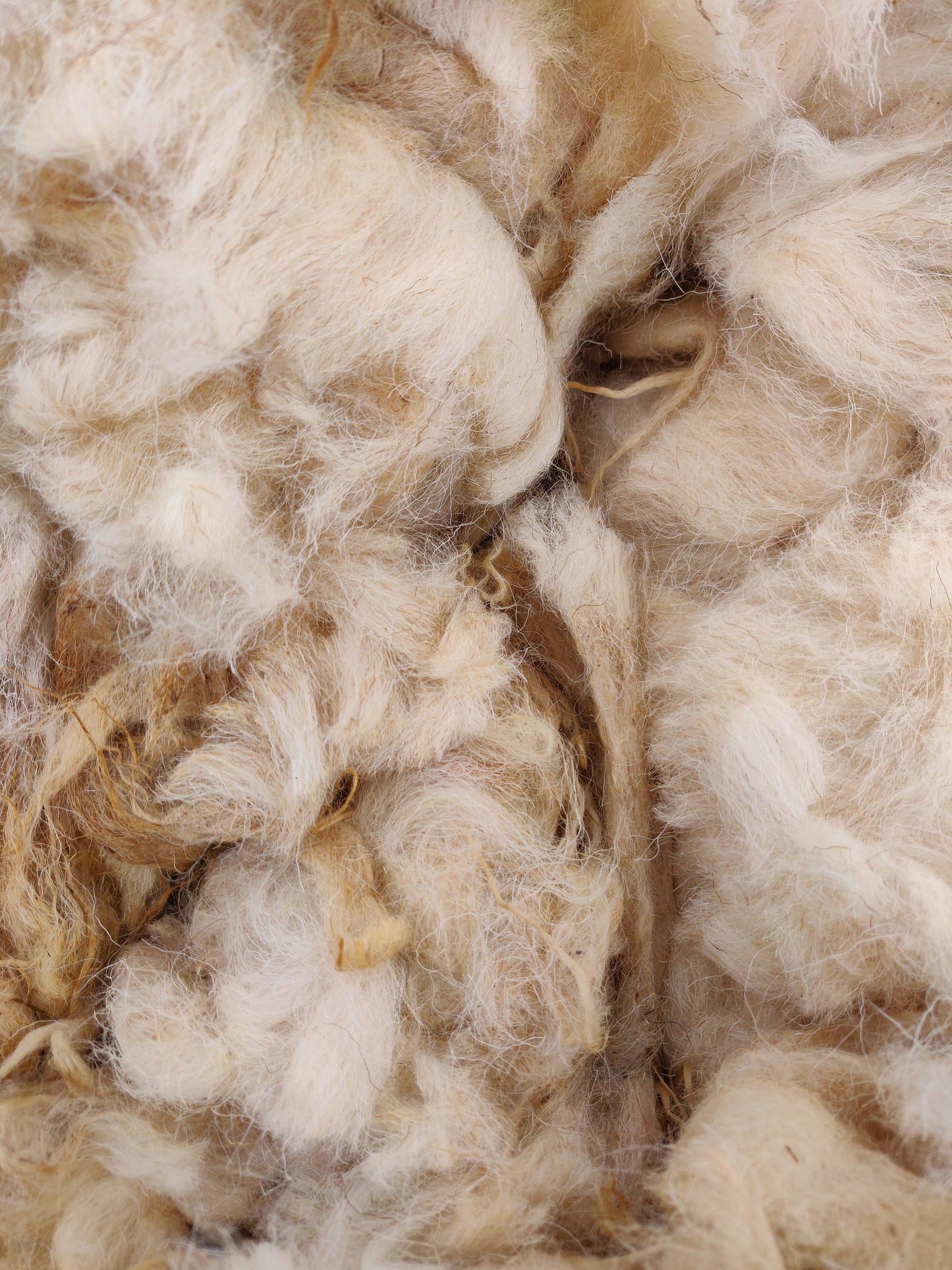 White Boreray Fleece