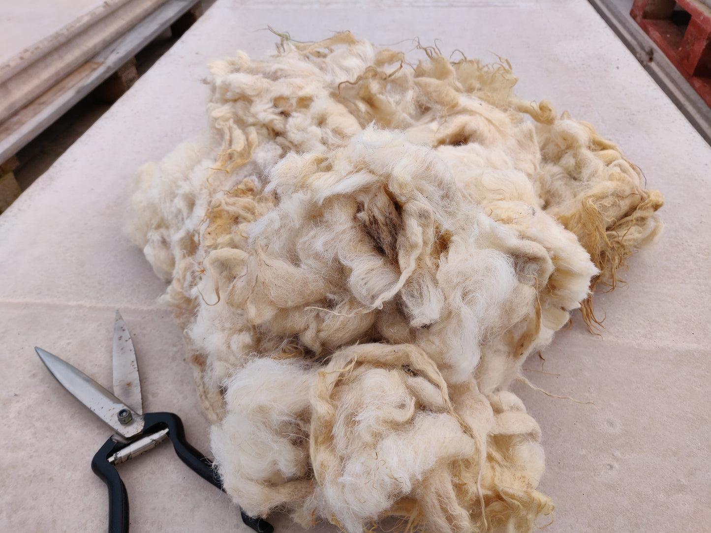 White Boreray Fleece