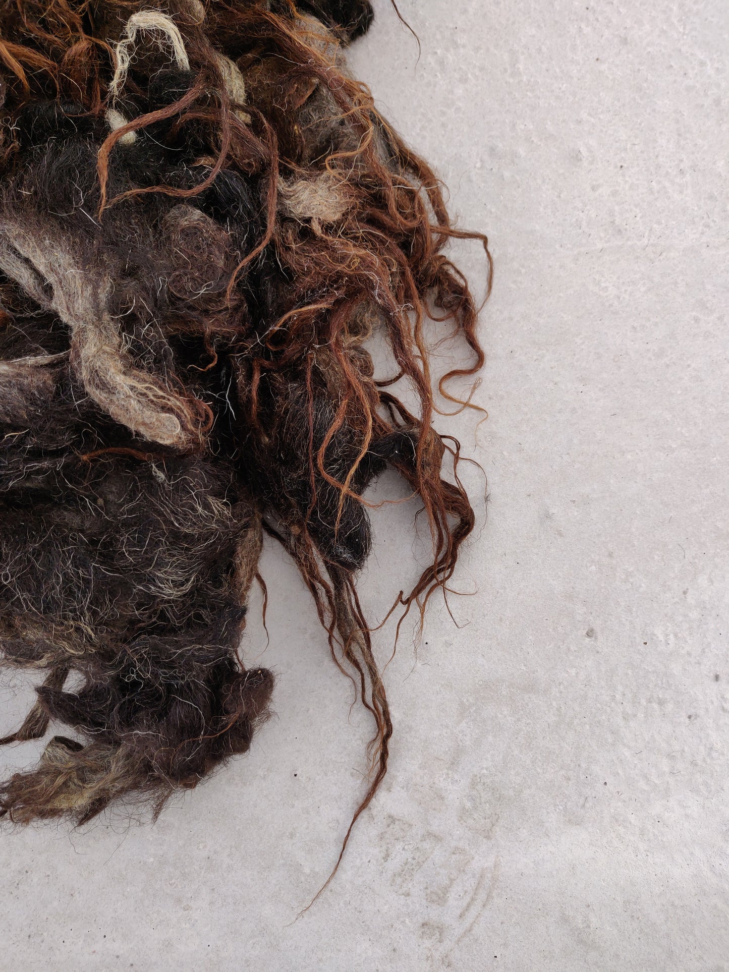 Fibre Length of Boreray Fleece