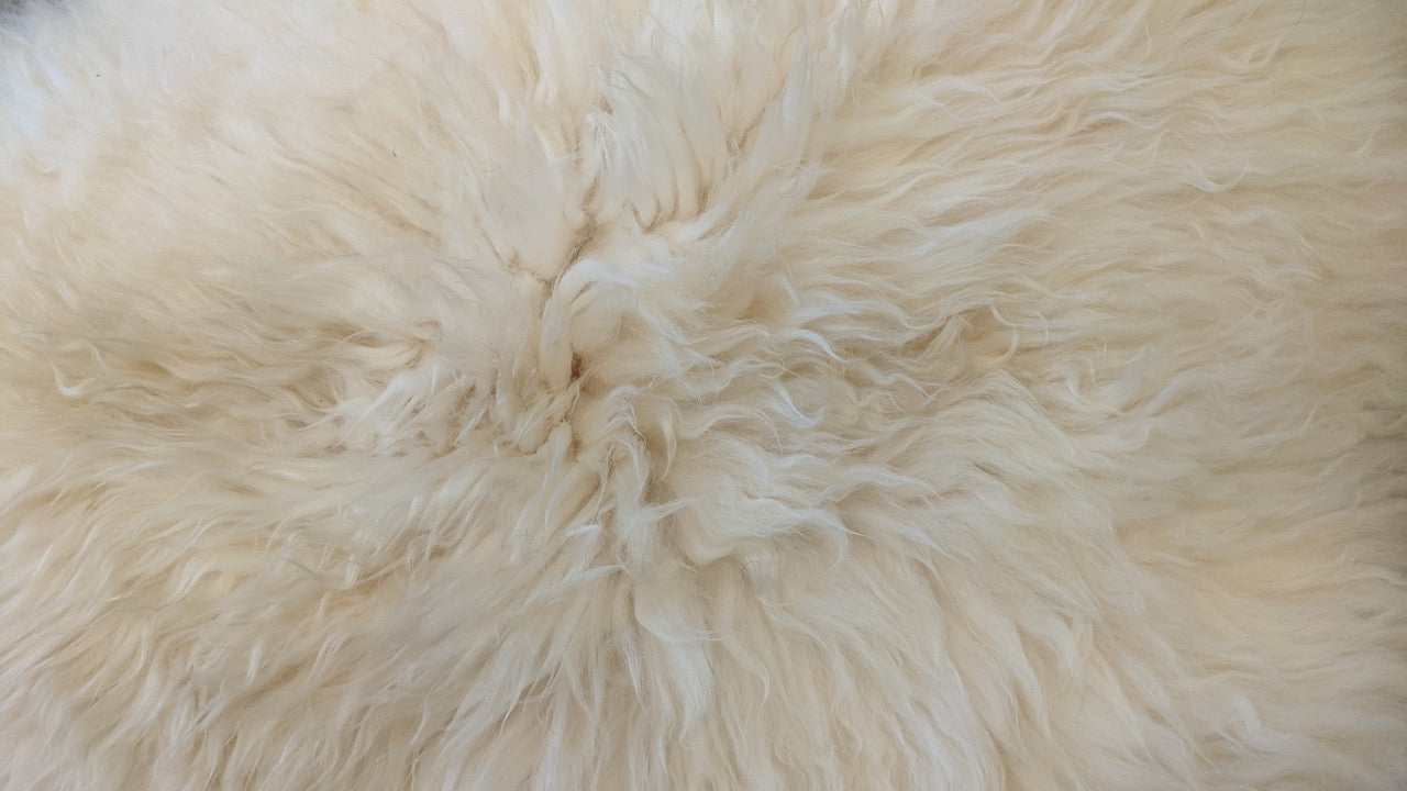 Shetland White Sheepskin