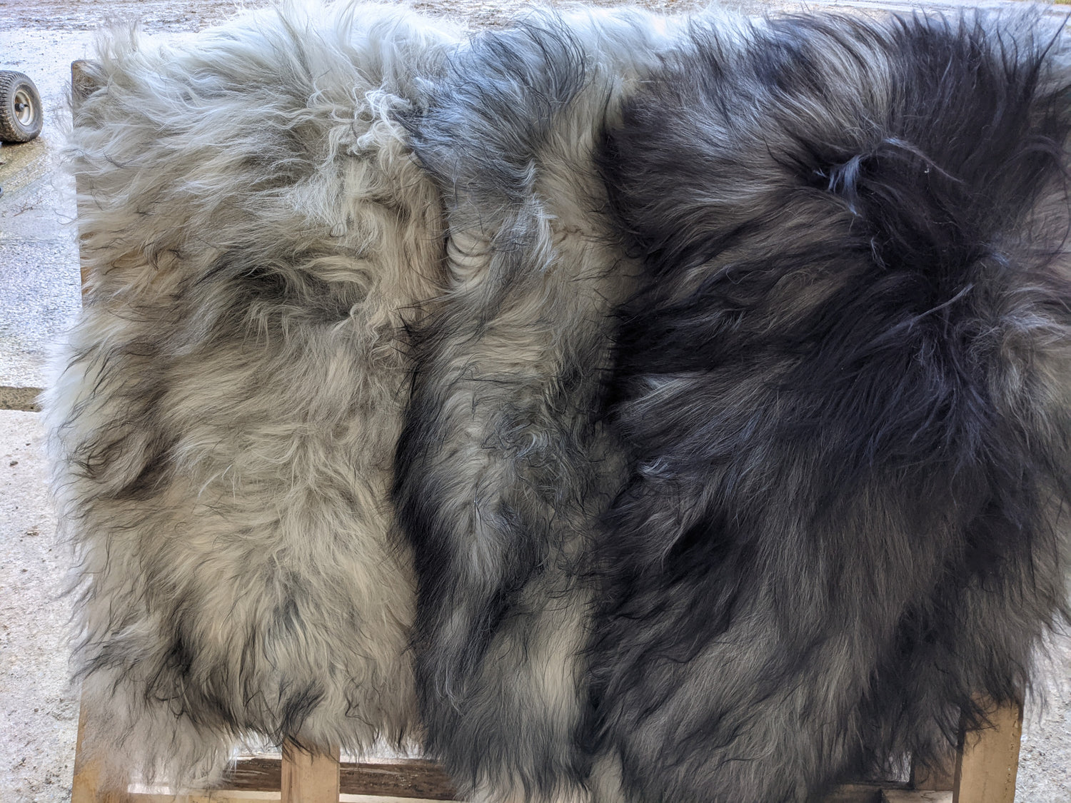 Light Medium and Dark Grey Sheepskin Rugs