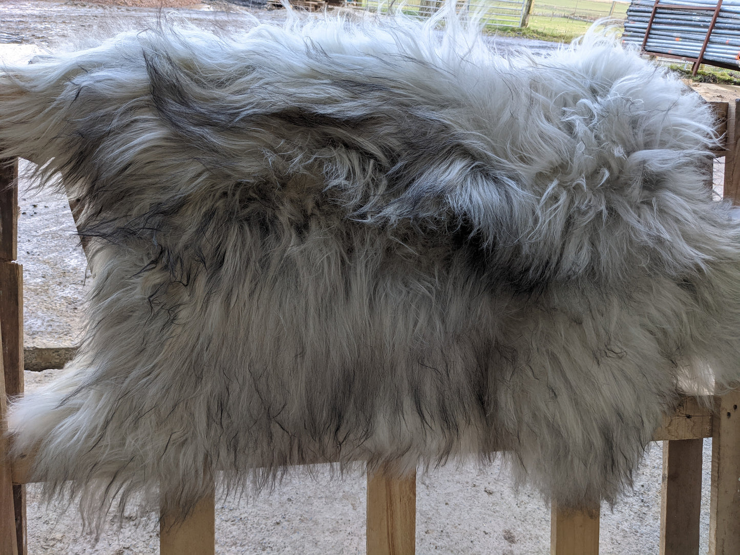 Large Grey Sheepskin