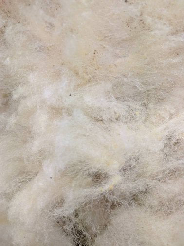 White Spinning Fleece
