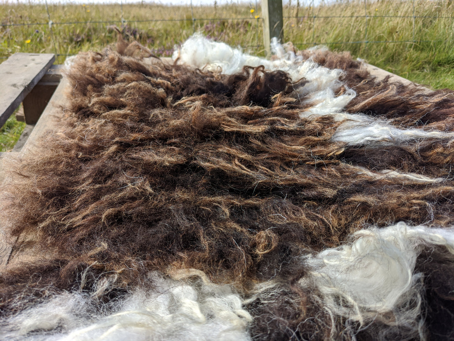 Brown felted fleece rug