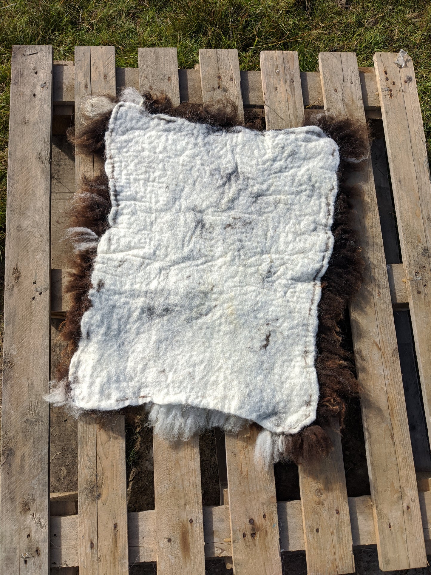 Back of felted sheepskin rug