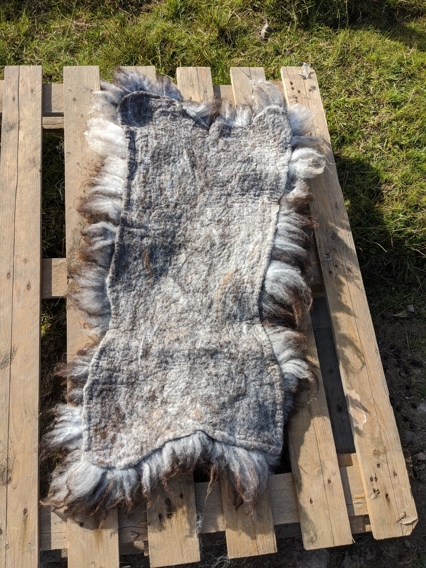 Back of living Sheepskin rug
