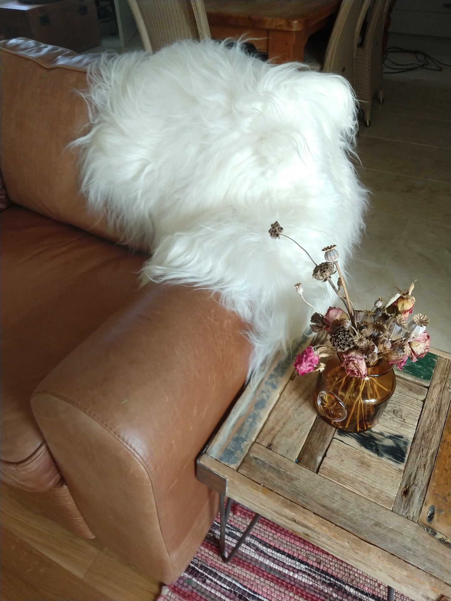 White sheepskin against a tan leather sofa