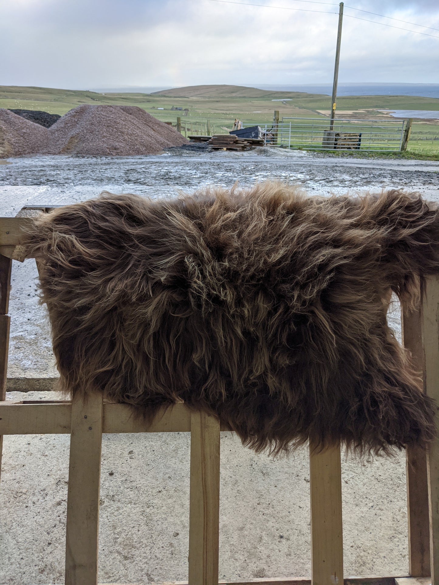 Light colour of Brown Lambskin Rug