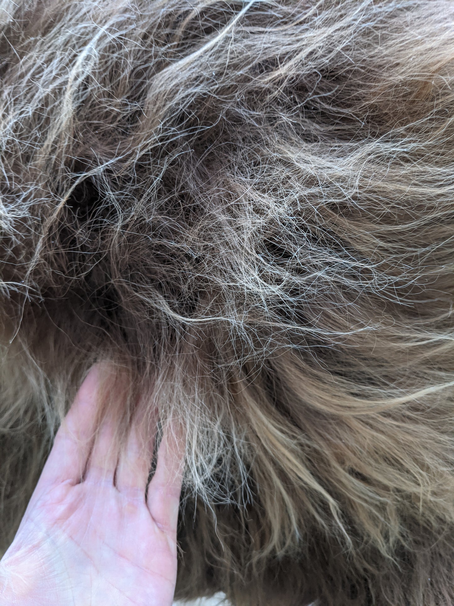 Close up straight Brown Sheepskin Rug
