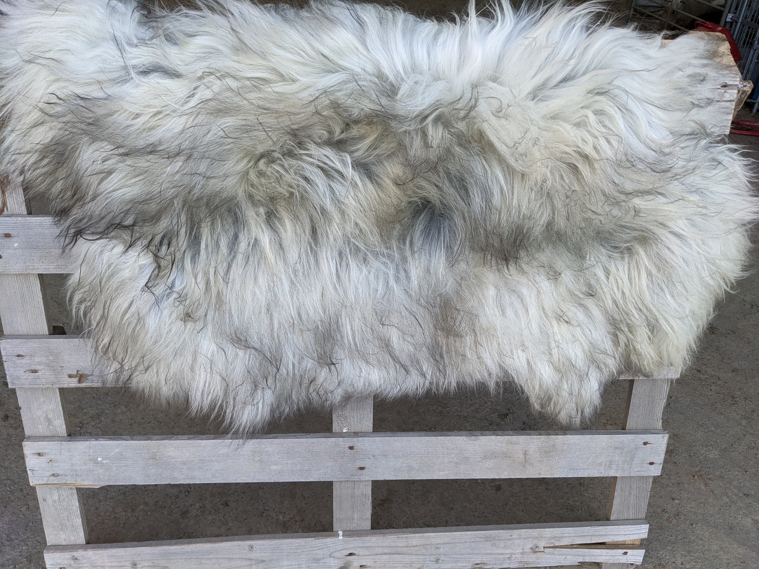 Size of Grey Sheepskin Rug