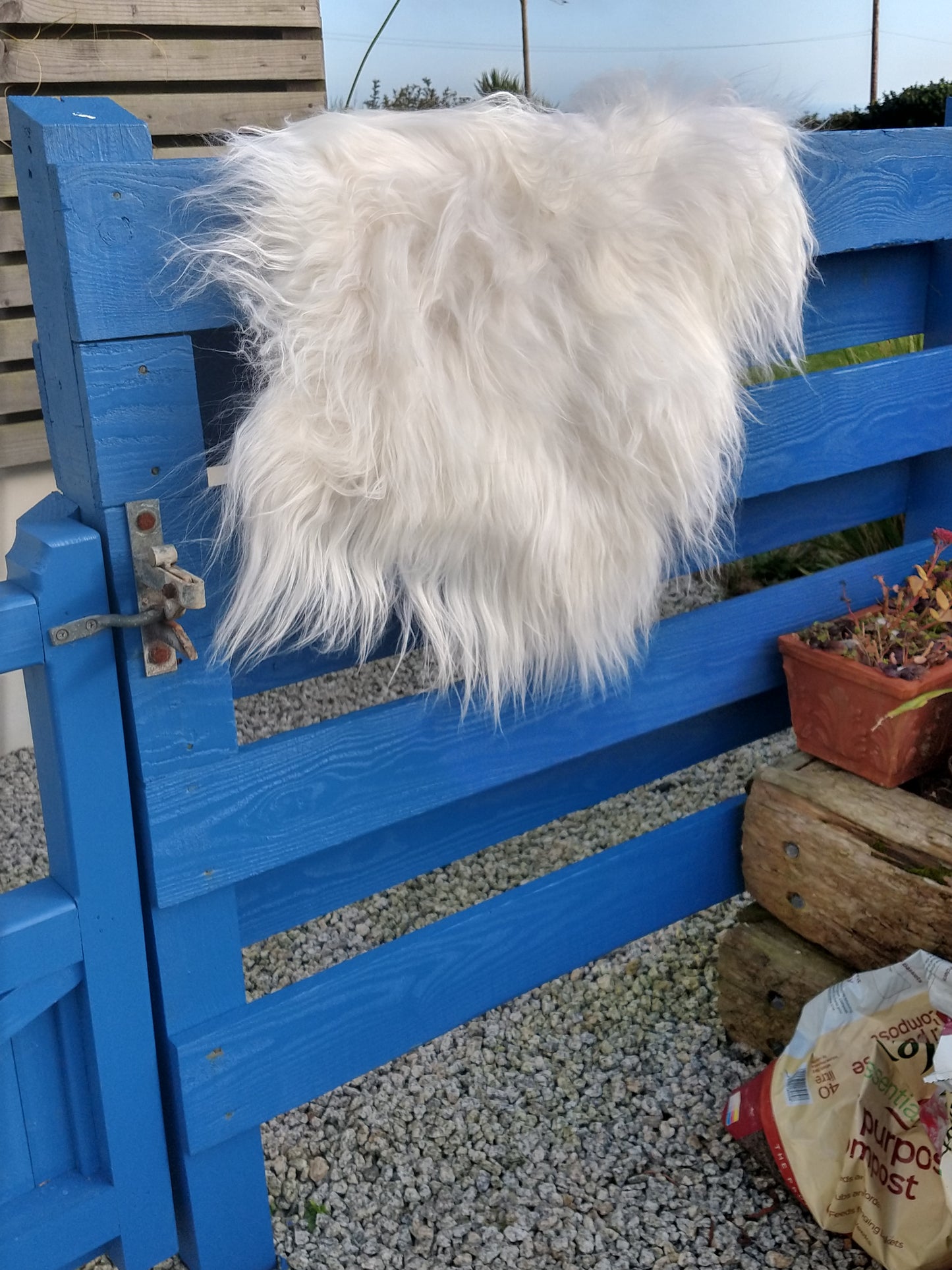 Small White Sheepskin