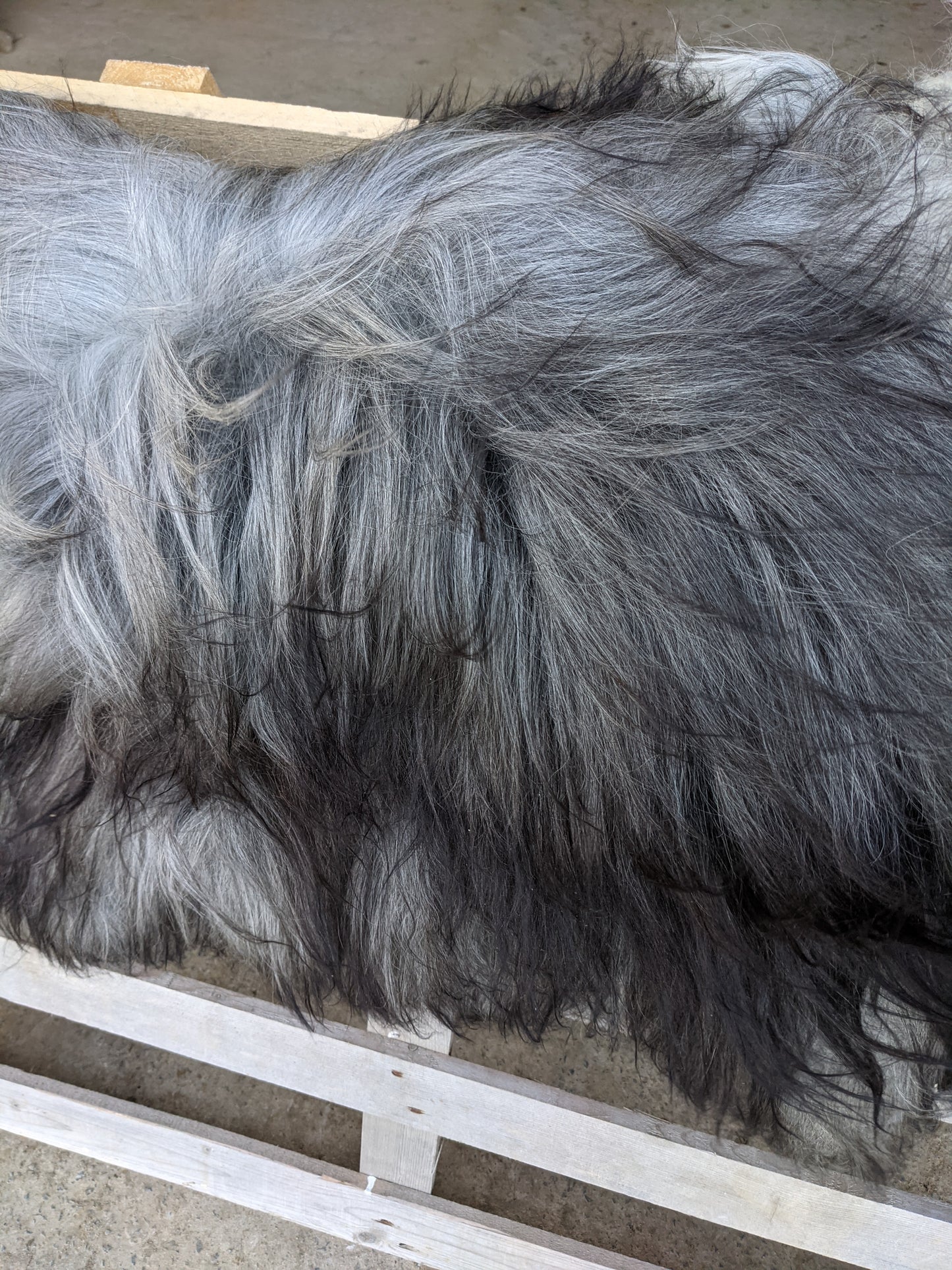 Large Grey Sheepskin