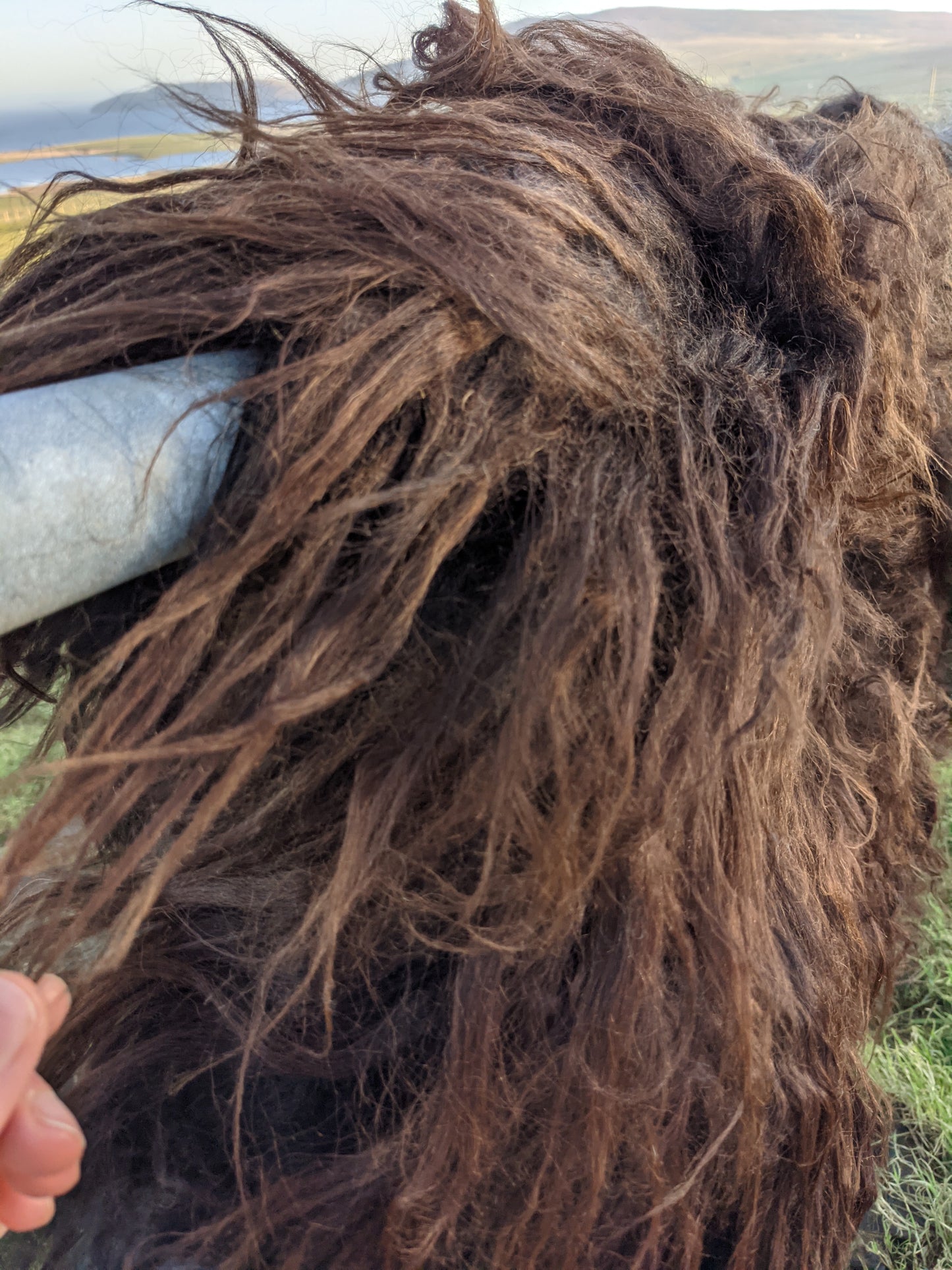 Brown Colour and Wavy texture of Hebridean Rug