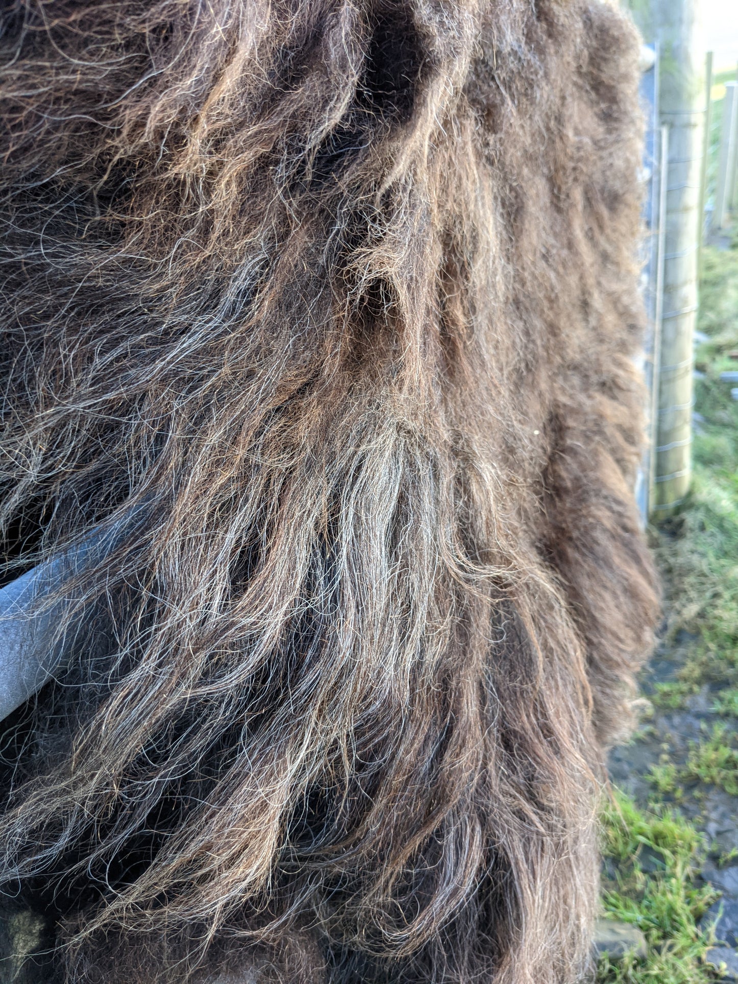 Fur Length of Hebridean Felted Rugs