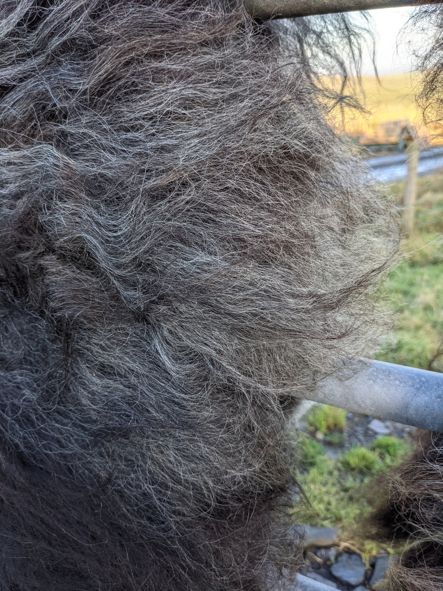Texture of Hebridean Rugs