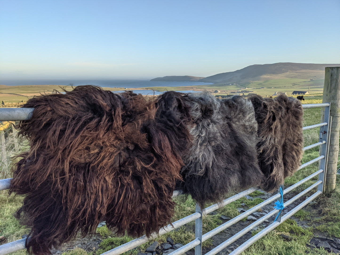 Black Hebridean Felted Rugs - Colour variations