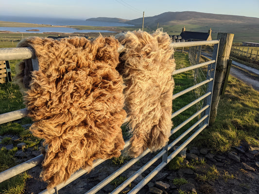 Light brown Felted Vegetarian Rug
