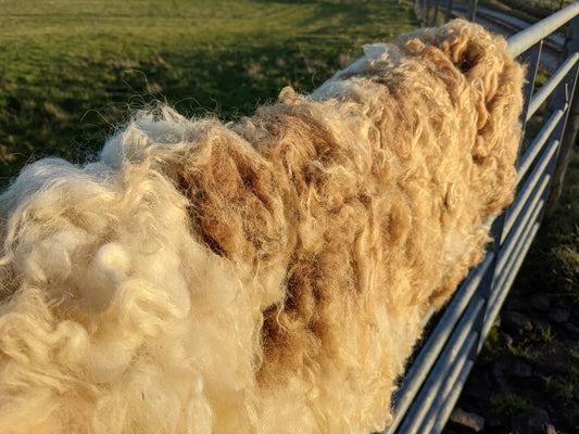 Light Brown And White Felted Vegetarian Rug