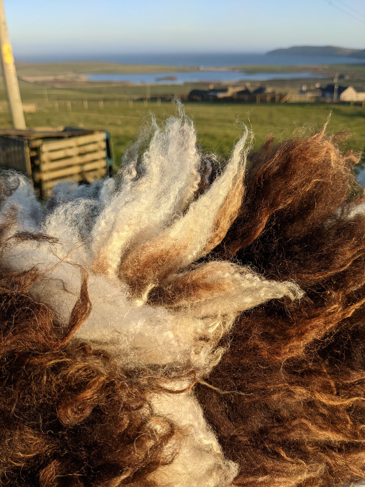 Fur Texture of Brown and White Felted Rug