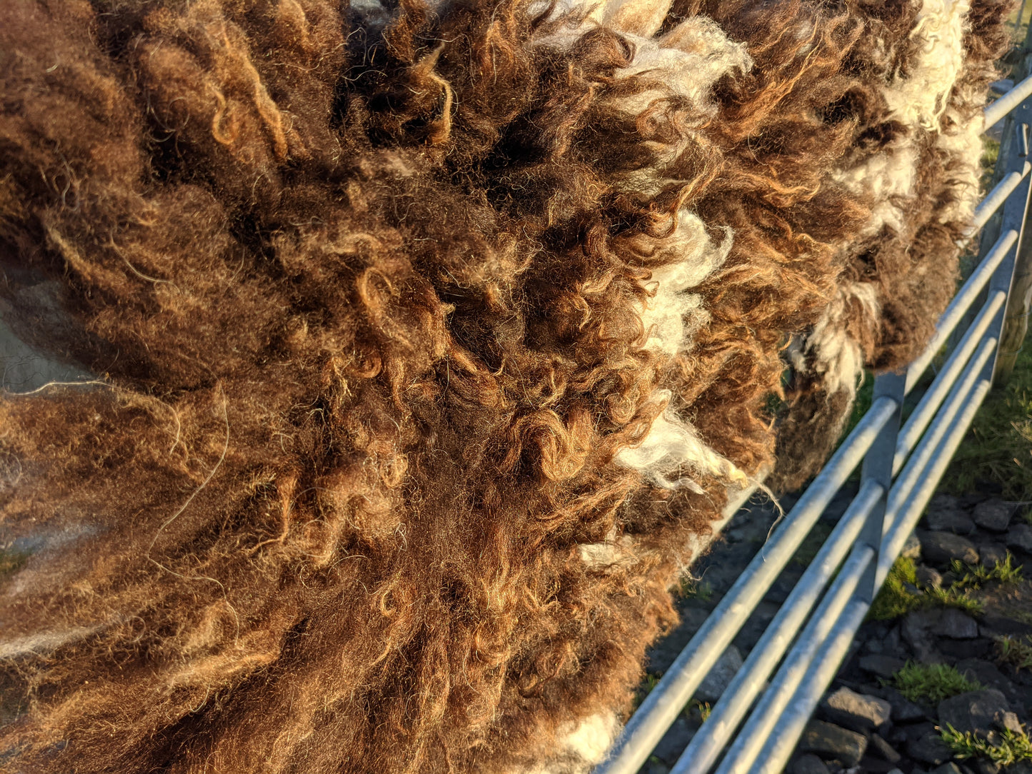 Bouncy texture of felted rug