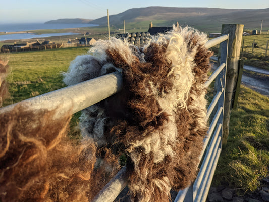 Colour of Brown and White Felted Rug