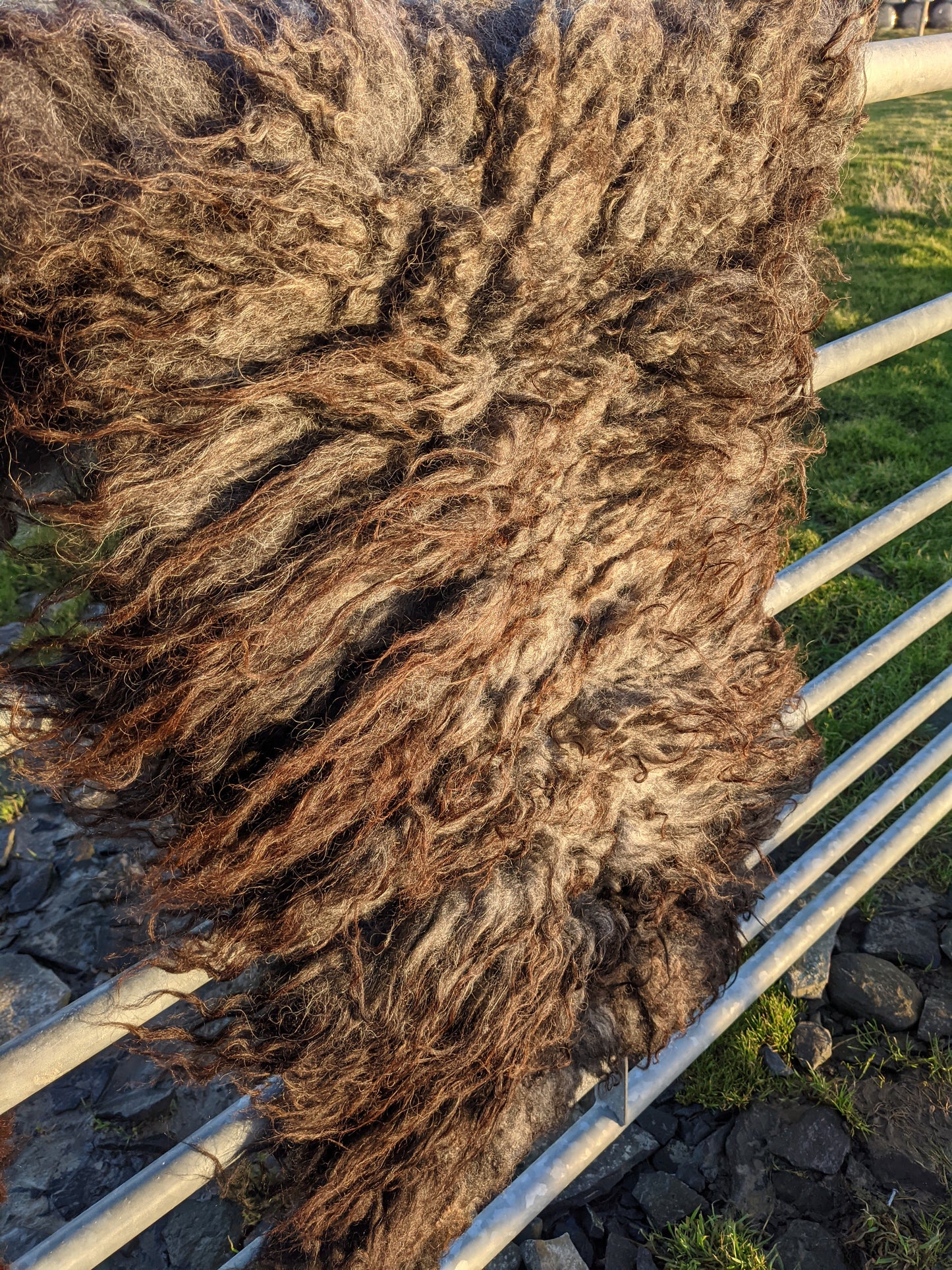 Black Hebridean Felted Rugs - showing the variation of colour Black-Brown-Grey