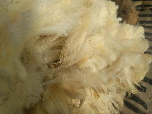 White Spinning Fleece