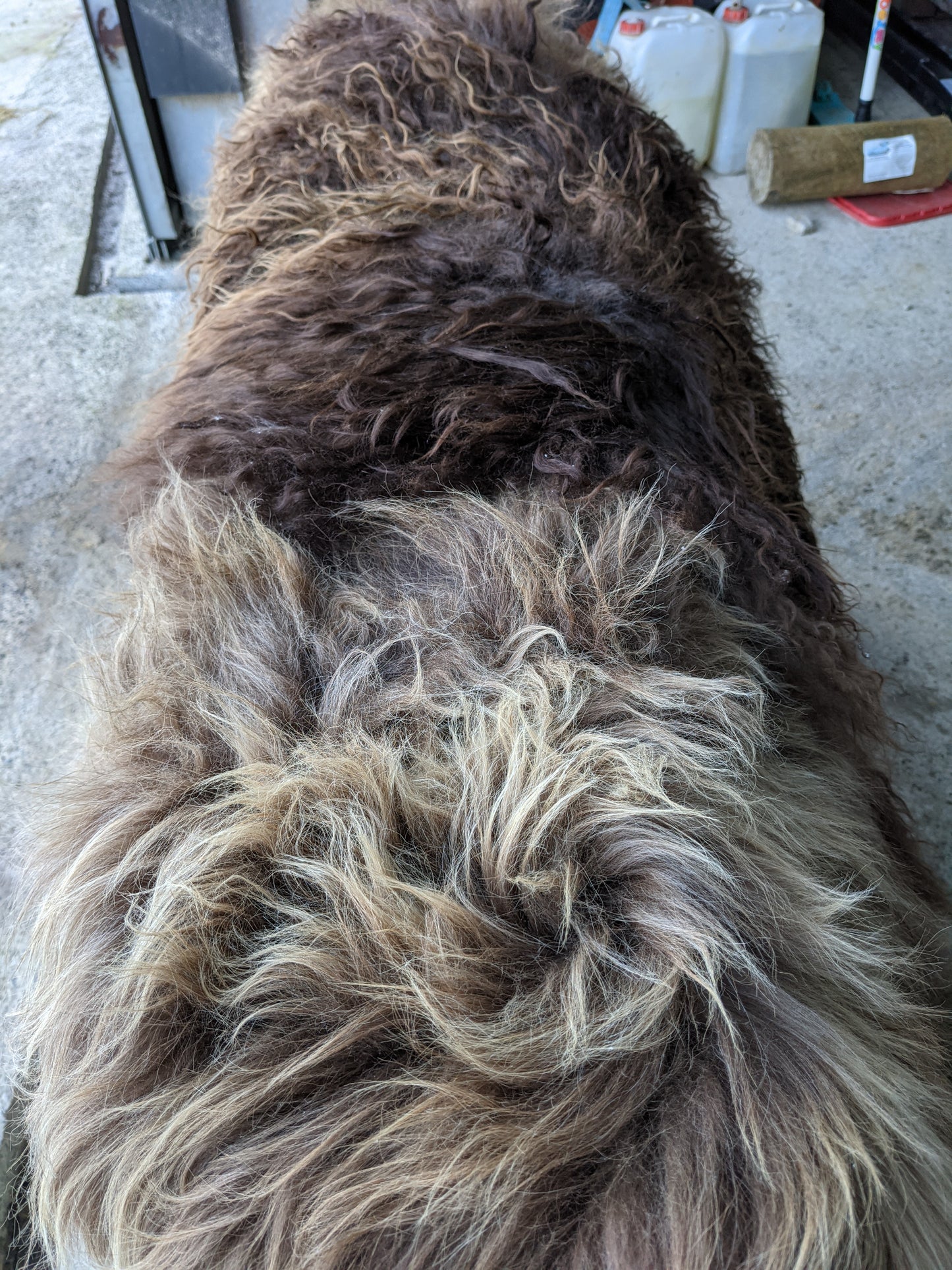 Colour variations of Brown Sheepskin Rug