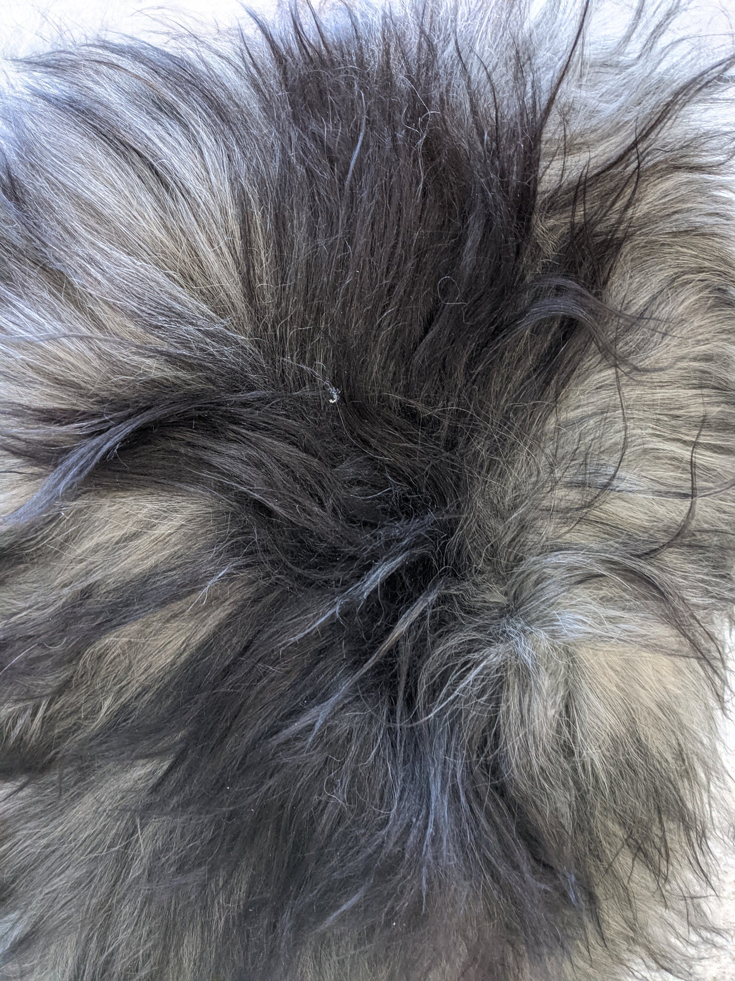 Natural Fur Texture of Grey Sheepskin Rug - soft and luxurious
