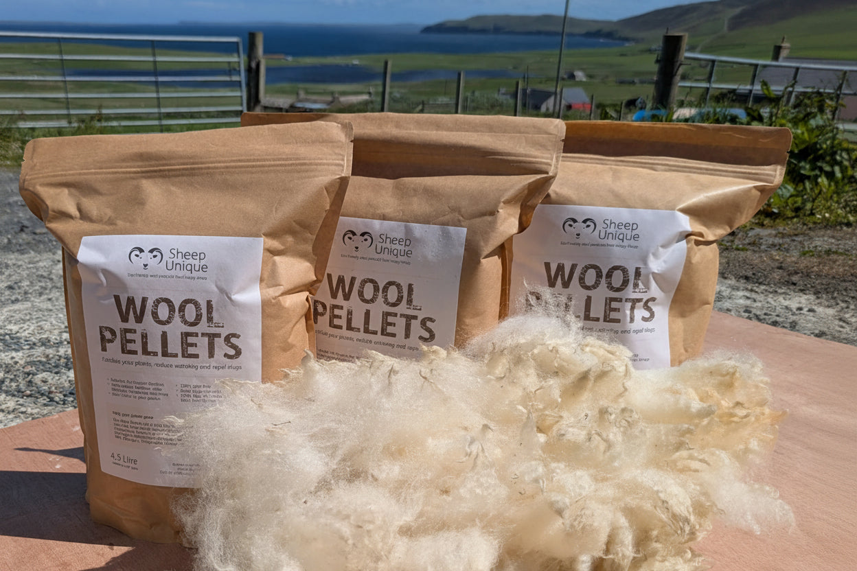 3 bags of garden wool pellets at the top of our farm track, hills and sea in the background.