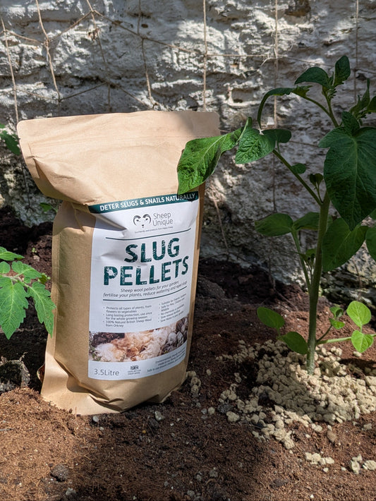 Bag of Slug Pellets on soil with plants in the background
