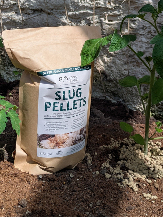 Bag of Slug Pellets on soil with plants in the background