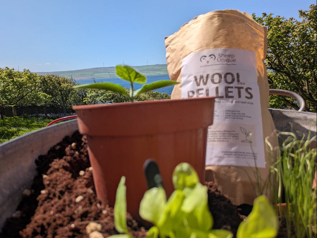 Bag of Wool Pellets next to a potted plant in a garden setting