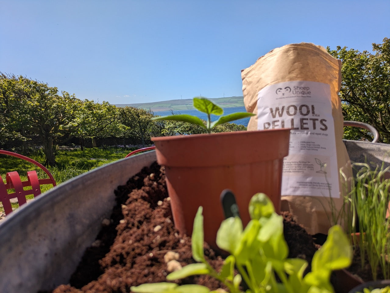 Bag of Wool Pellets next to a potted plant in a garden setting