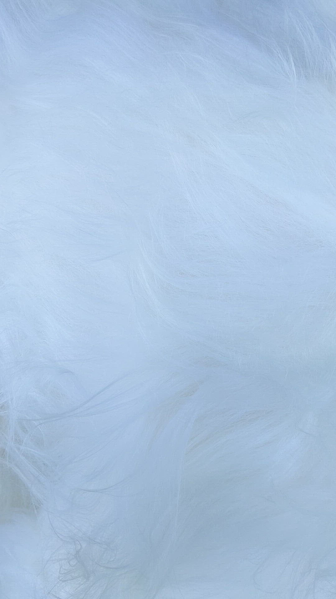 Fur of sheepskin rug blowing in the breeze