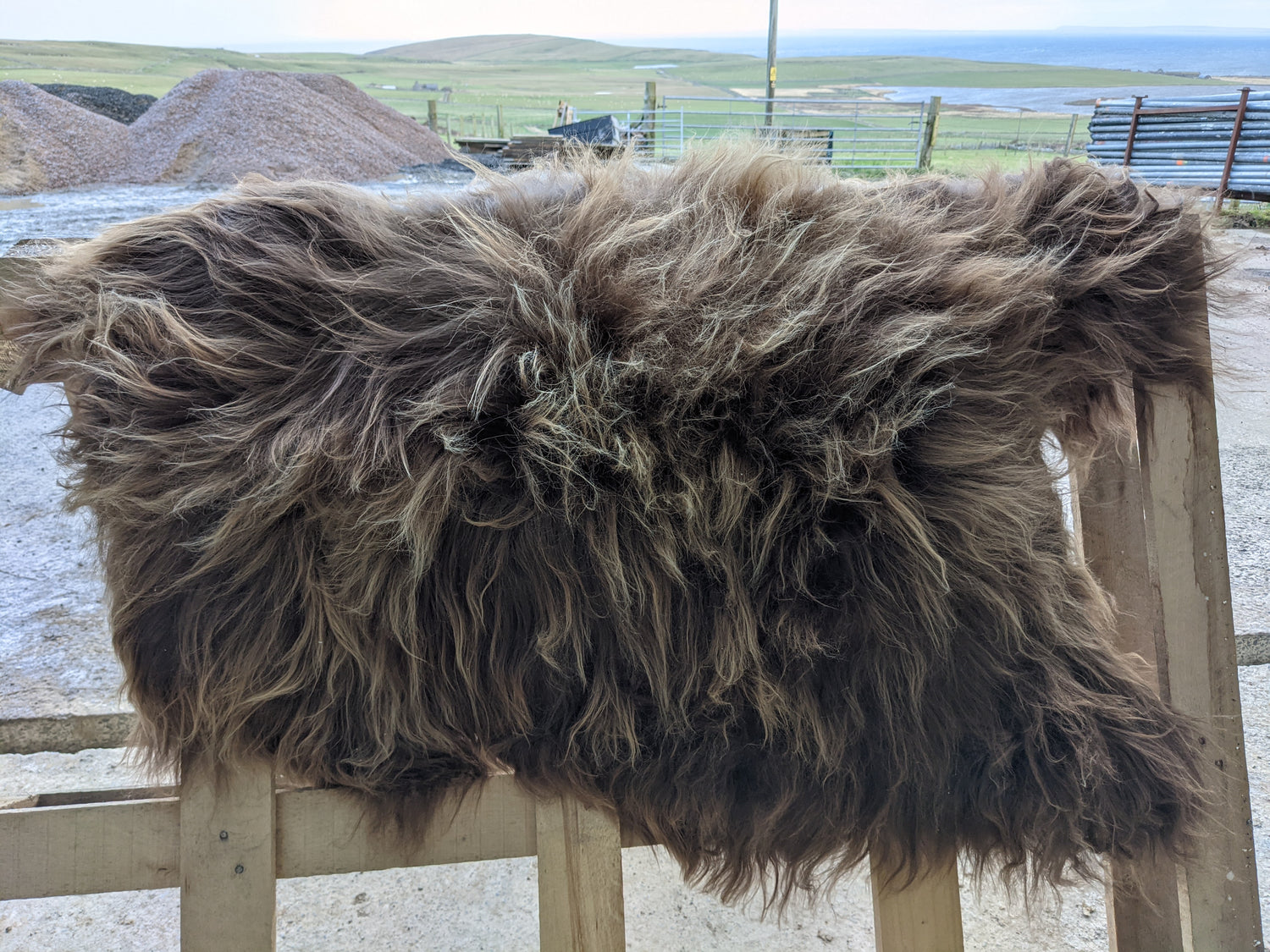 Light Highlights on a natural not dyed Brown Sheepskin Rug