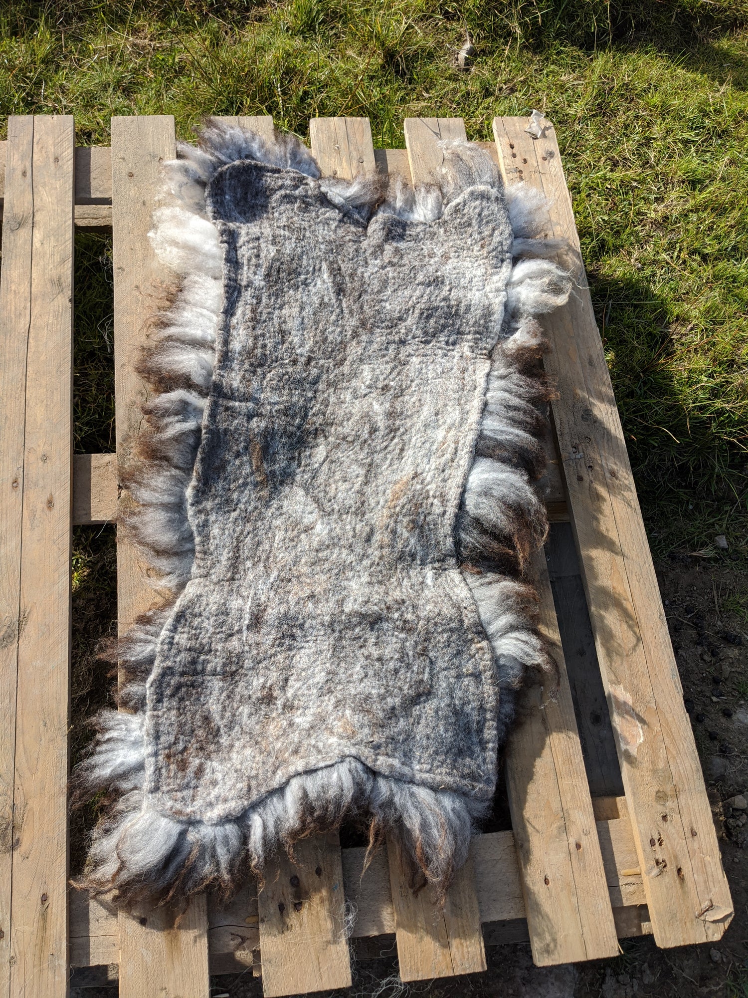 Back of living Sheepskin rug