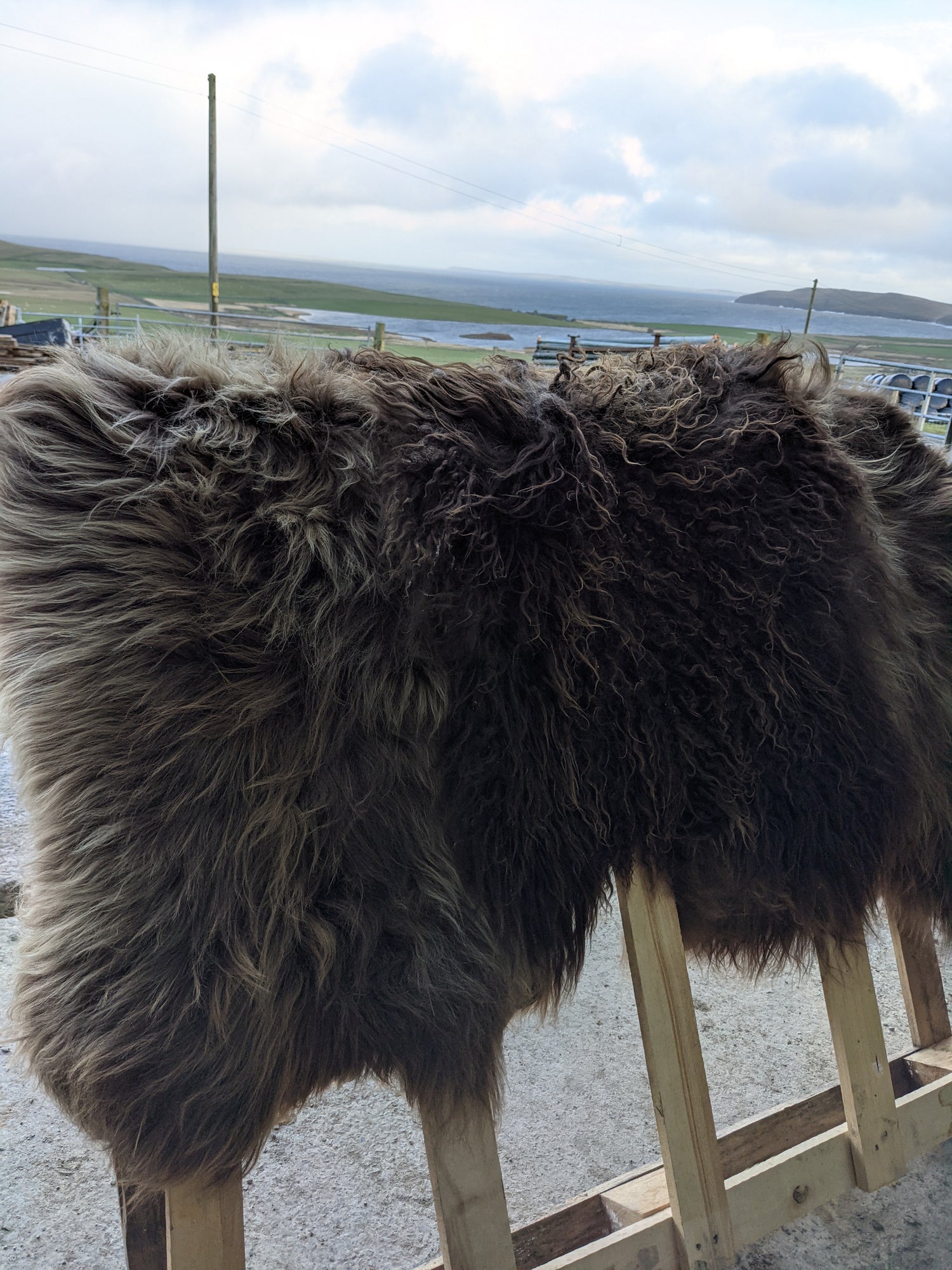 3 layered Brown Sheepskin Rugs with sea in the background