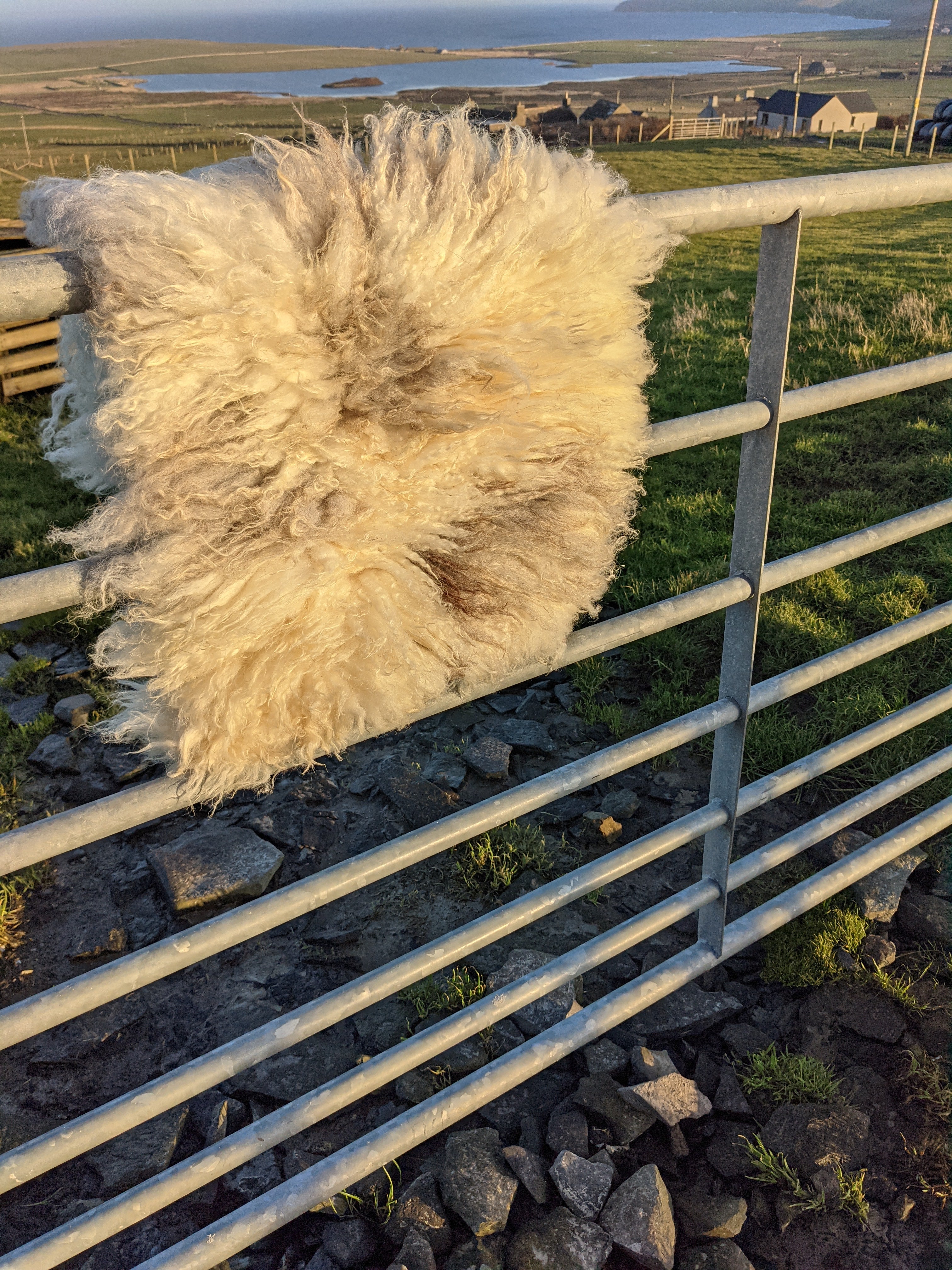 White Felted Vegetarian Rug – Island Farm Shop