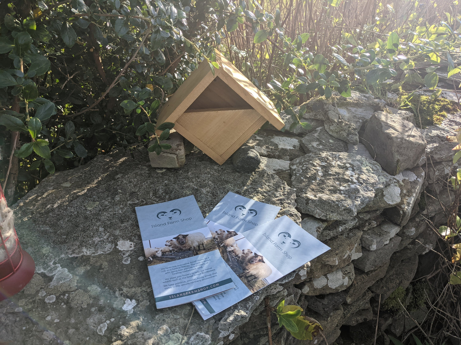 Robin Nest Box in a garden scene