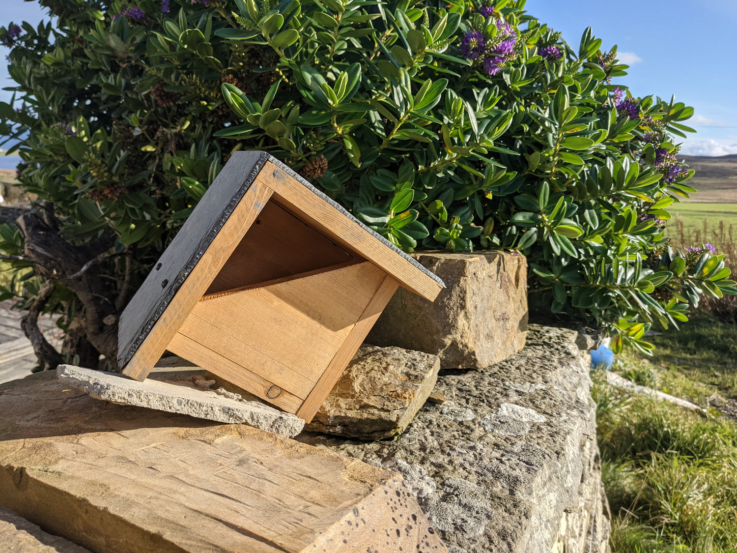 Thickness of wood of the Nest Box, shown is 15mm