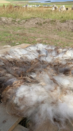 Video of felted sheepskin rug